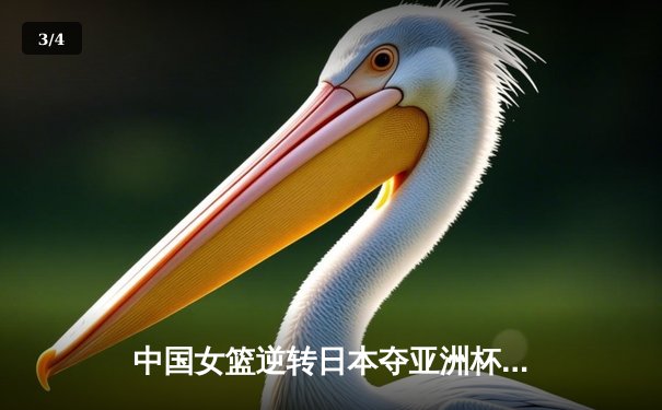 中国女篮逆转日本夺亚洲杯冠军 韩旭23+10荣膺MVP - 3