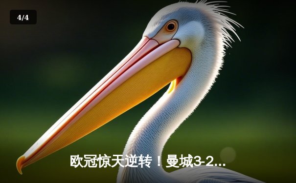 欧冠惊天逆转！曼城3-2绝杀拜仁，哈兰德双响创纪录 - 4